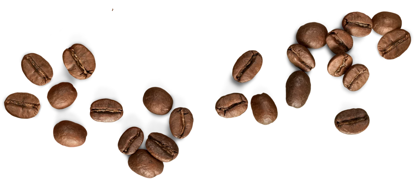 beans e1706503717539