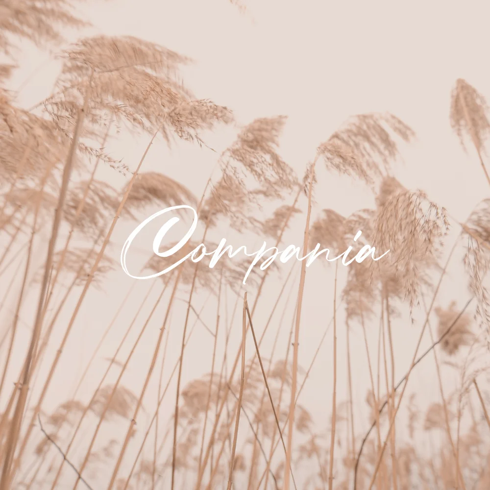 Top 100 Free Logo Fonts for Designers