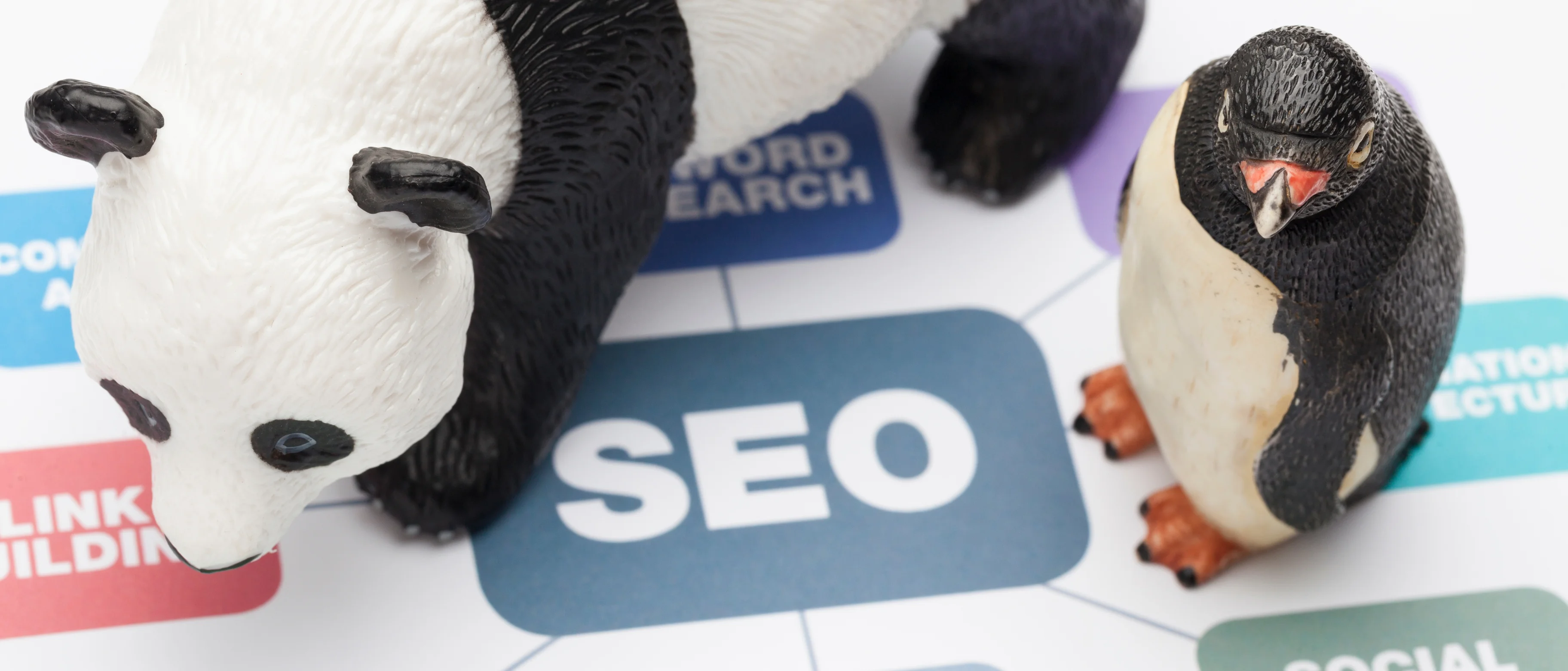 Google Algorithm Penguin