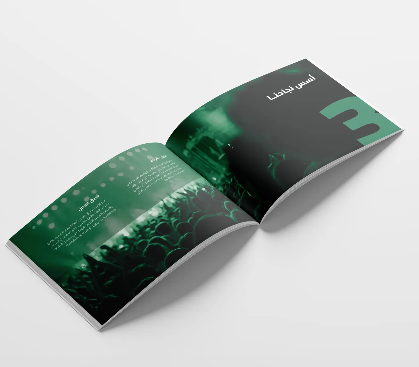 Nexus company profile pages11 12