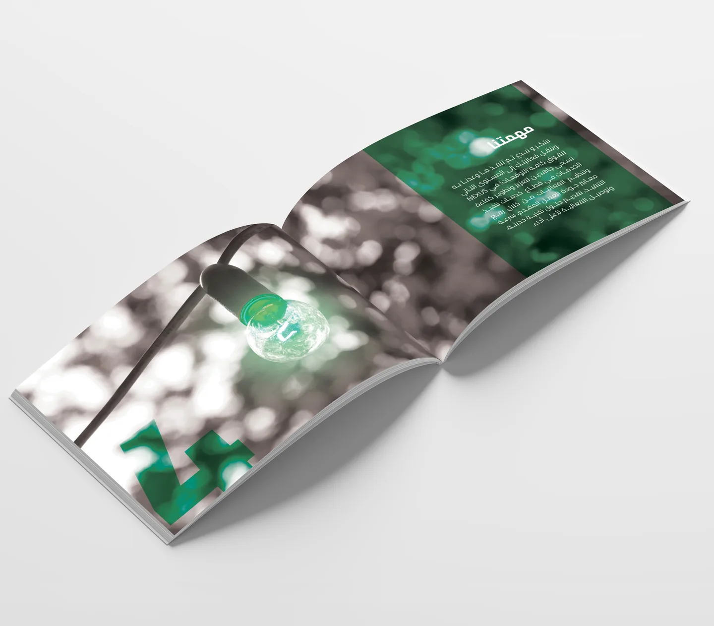 Nexus company profile pages13 14