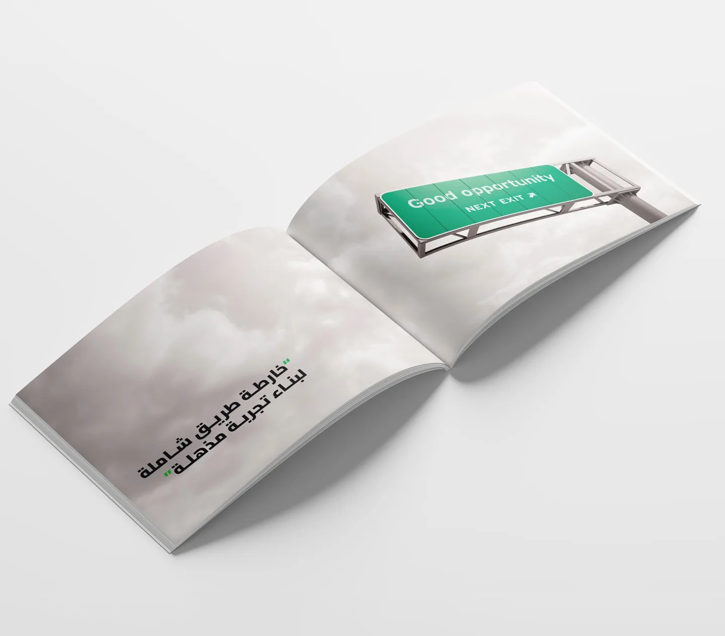 Nexus company profile pages17-18
