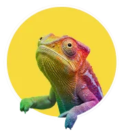 H1chameleon