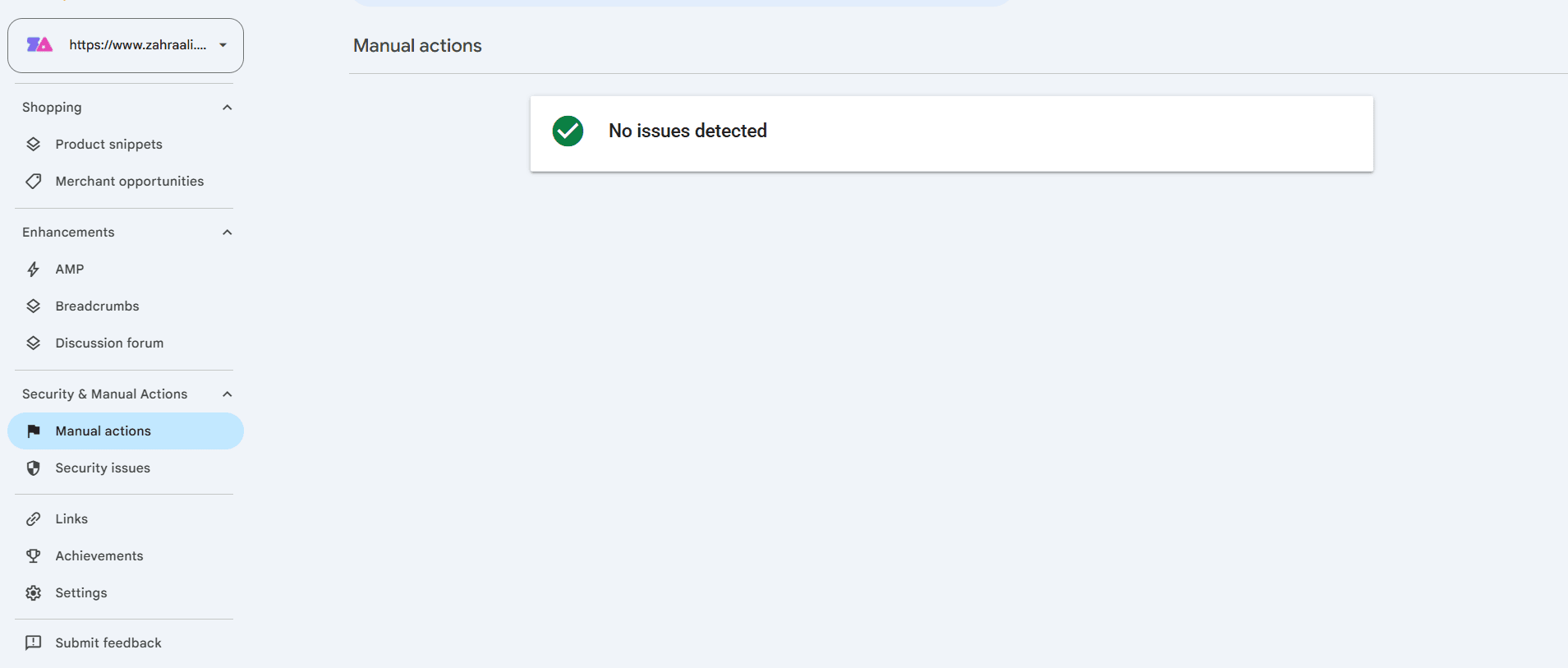 Google Search Console Manual Actions report displaying No issues detected during the test.