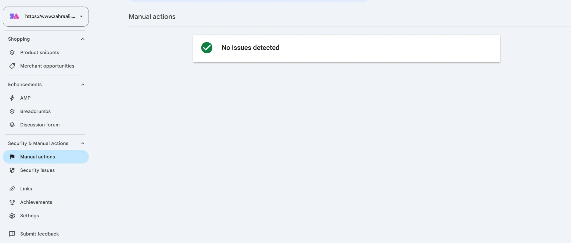 Google Search Console Manual Actions report displaying No issues detected during the test.