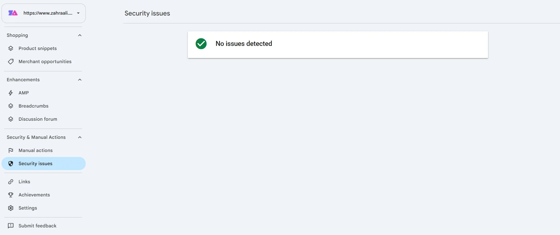 Google Search Console Security Issues report displaying No issues detected during the test.