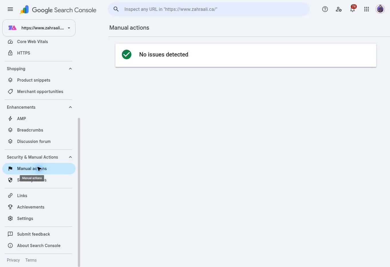 Google Search Console Manual Actions report showing no issues detected.