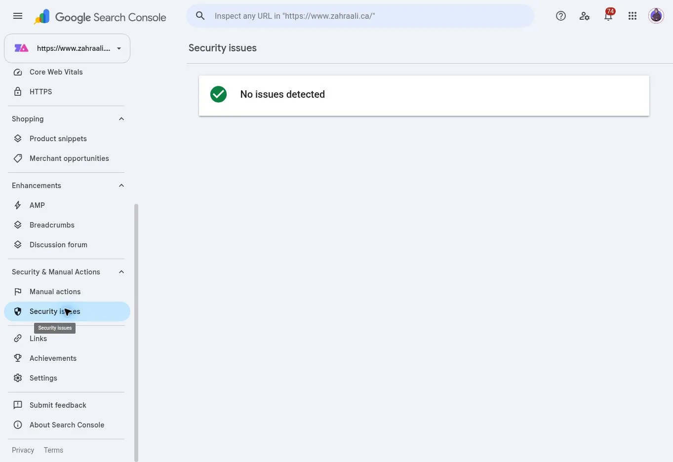 Google Search Console Security Issues report showing no issues detected.